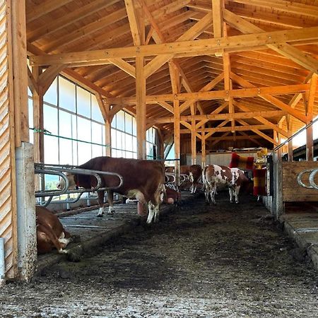 Landgasthof Blasini - Pfahlhof Zandt Dış mekan fotoğraf