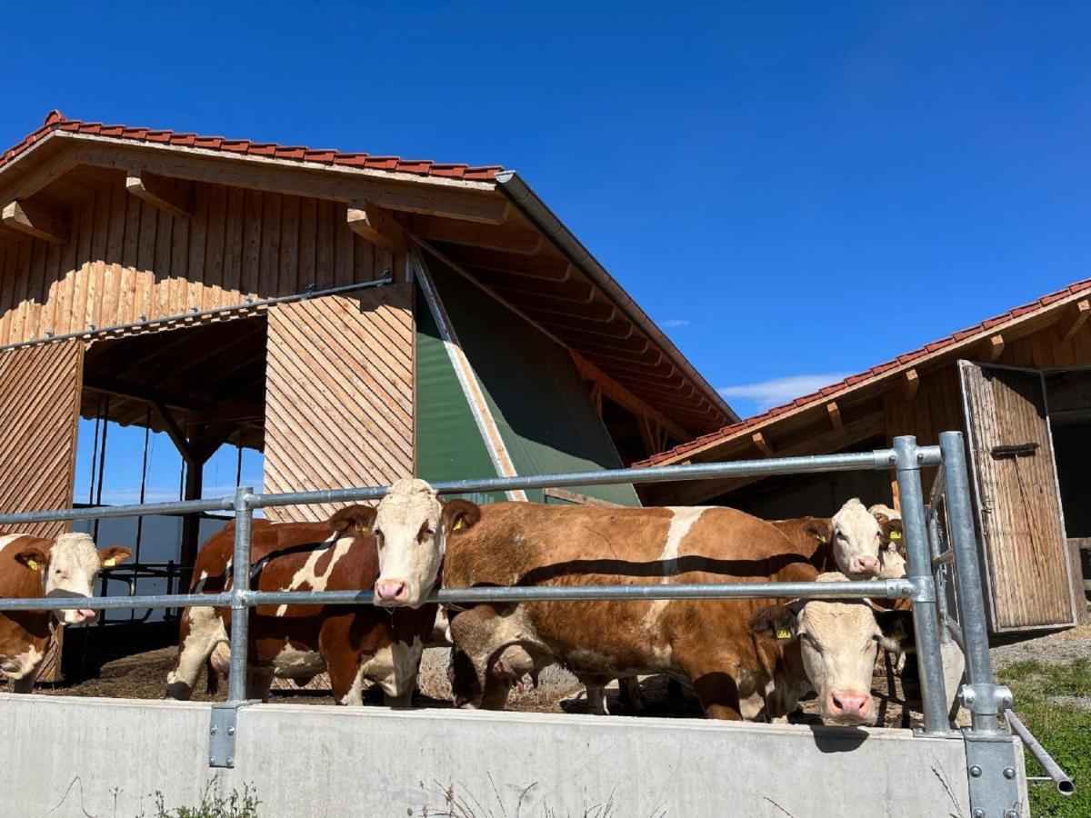 Landgasthof Blasini - Pfahlhof Zandt Dış mekan fotoğraf