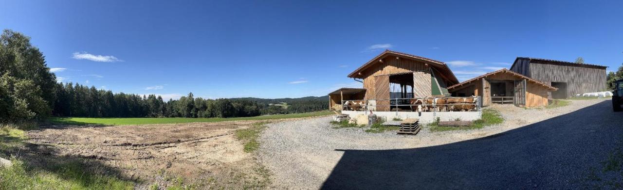 Landgasthof Blasini - Pfahlhof Zandt Dış mekan fotoğraf