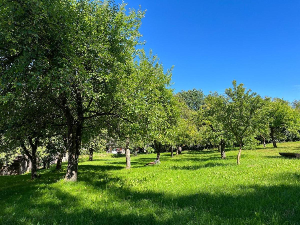 Landgasthof Blasini - Pfahlhof Zandt Dış mekan fotoğraf